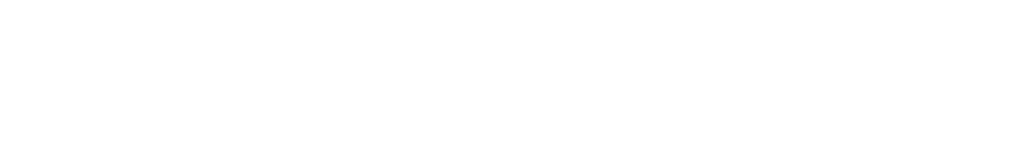 SN telecom